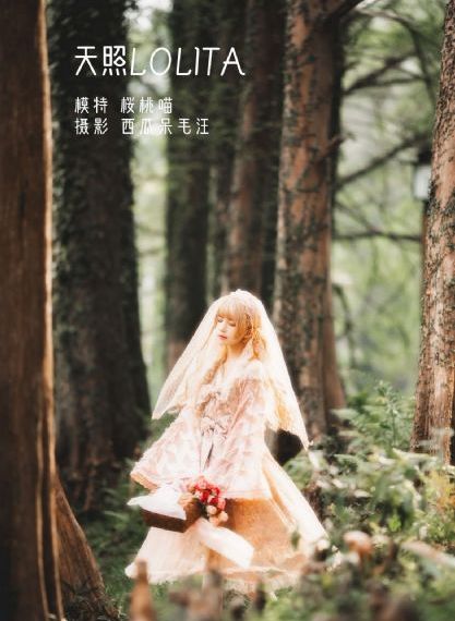 不死不幸动漫第一季免费观看全集_DVD视频大全